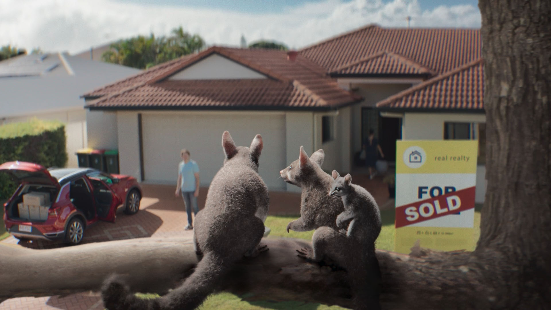 A cast of charming animals star in RACQ’s new brand campaign ‘You with RACQ?’ via VML